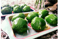 清明時節(jié)吃什么美食？全國各地18種清明美食大集合（多圖）